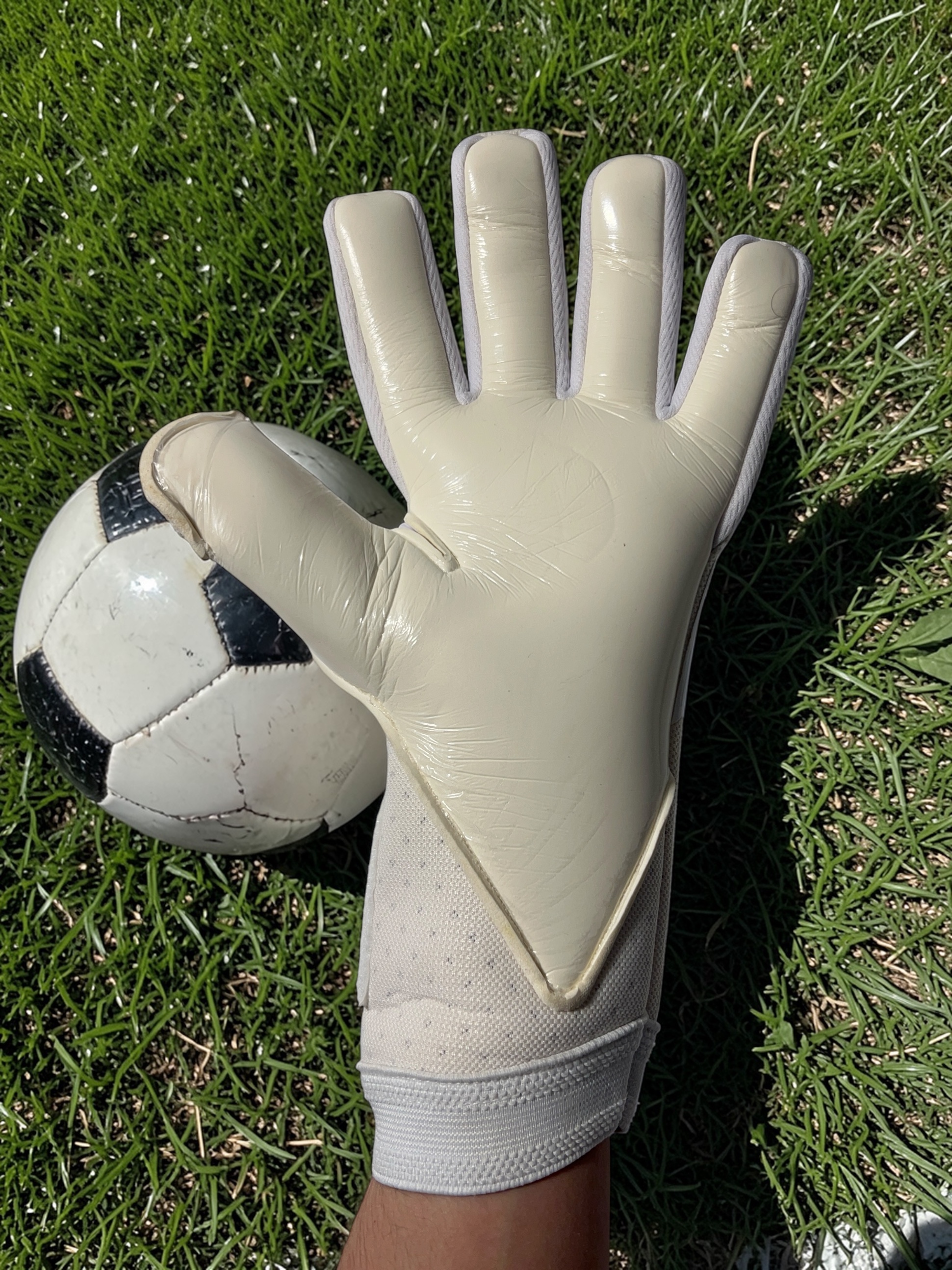 Palm with Ball
